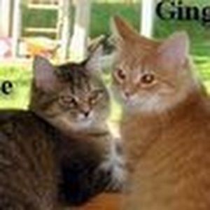 Meet your Posher, Elisa